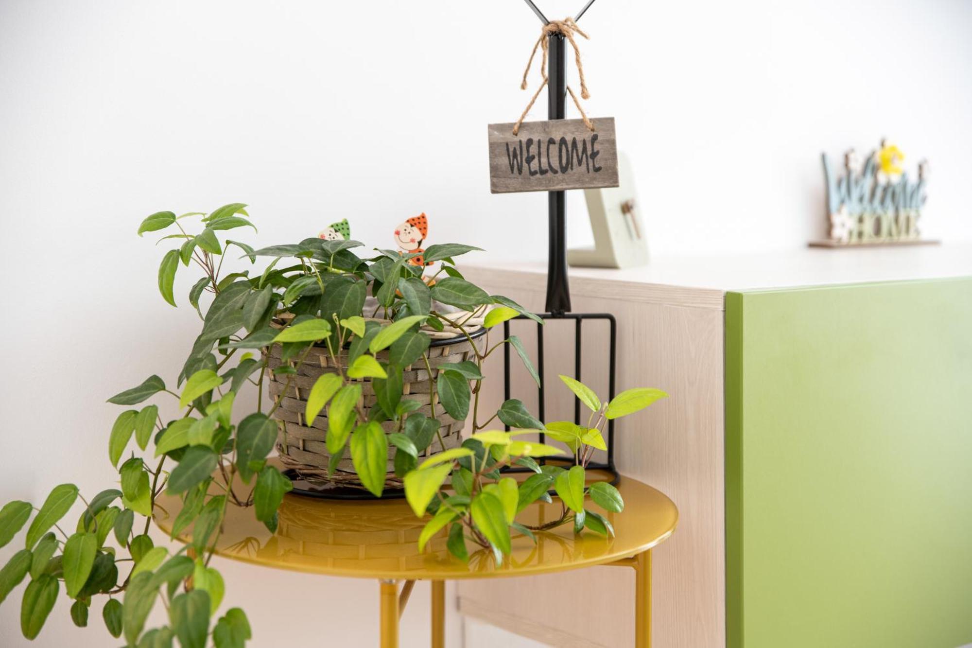 Springhome - Cozy Apartment With Balcony & Parking Braşov Eksteriør billede